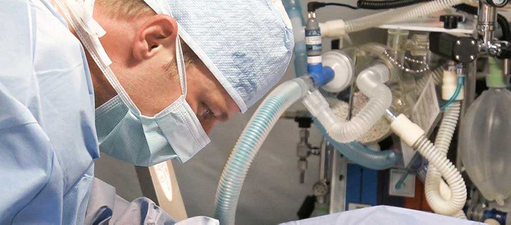 Surgeon in surgery
